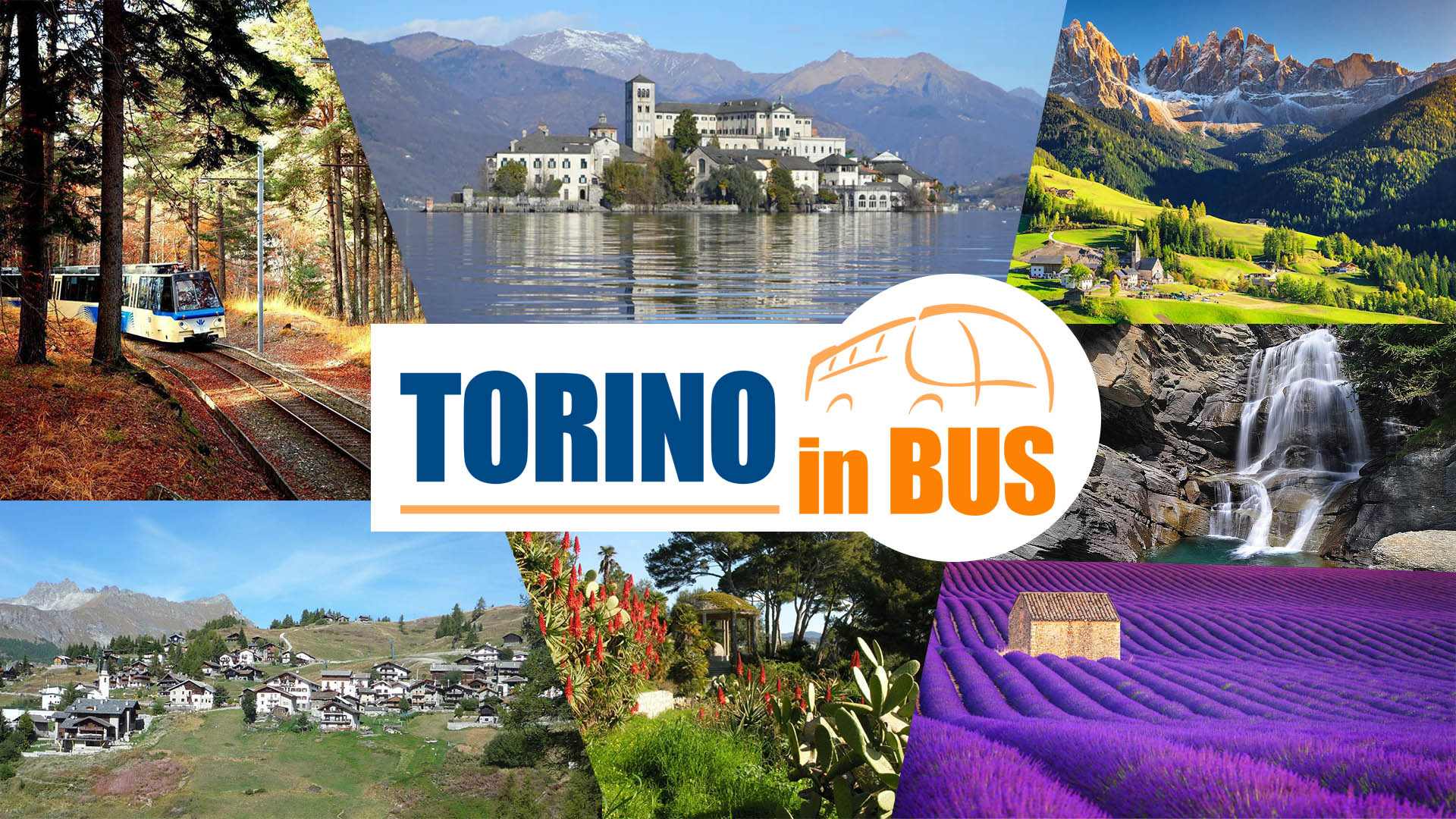 Torino In Bus