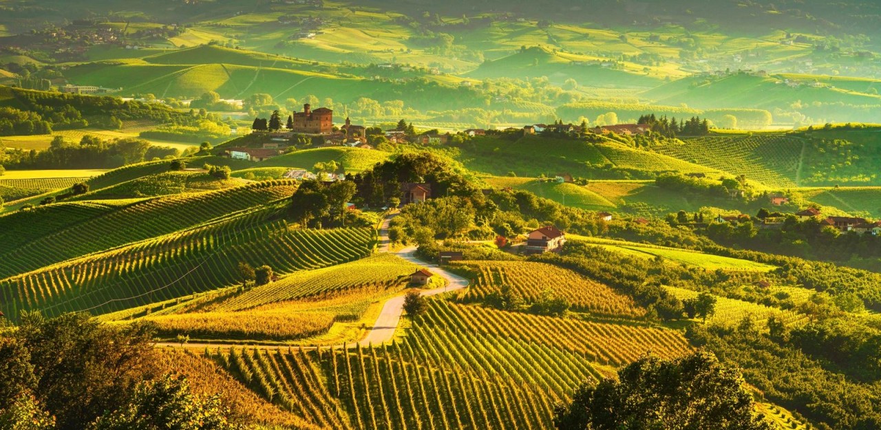 Piemonte: dalle Langhe all’antico marchesato di Saluzzo